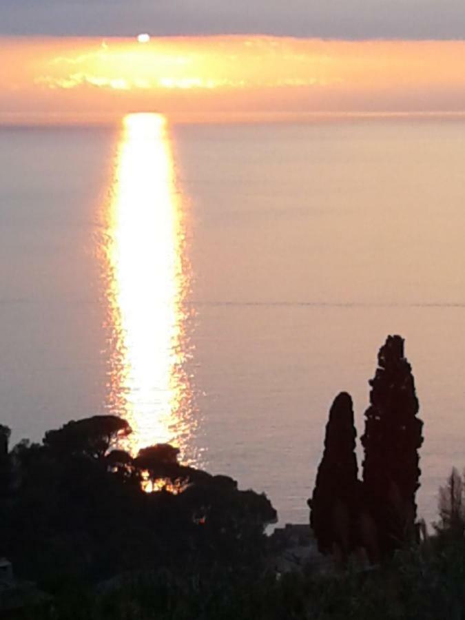 La Depandance Della Nonna Lejlighed Camogli Eksteriør billede