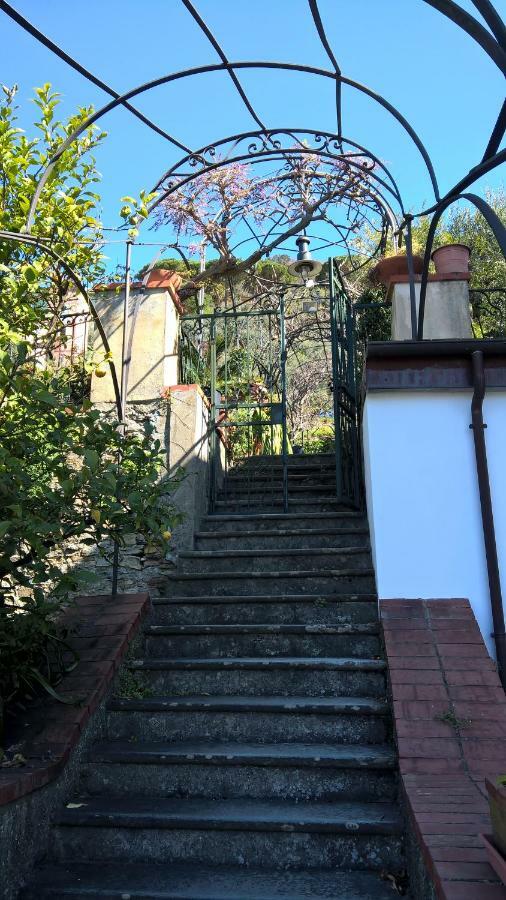 La Depandance Della Nonna Lejlighed Camogli Eksteriør billede