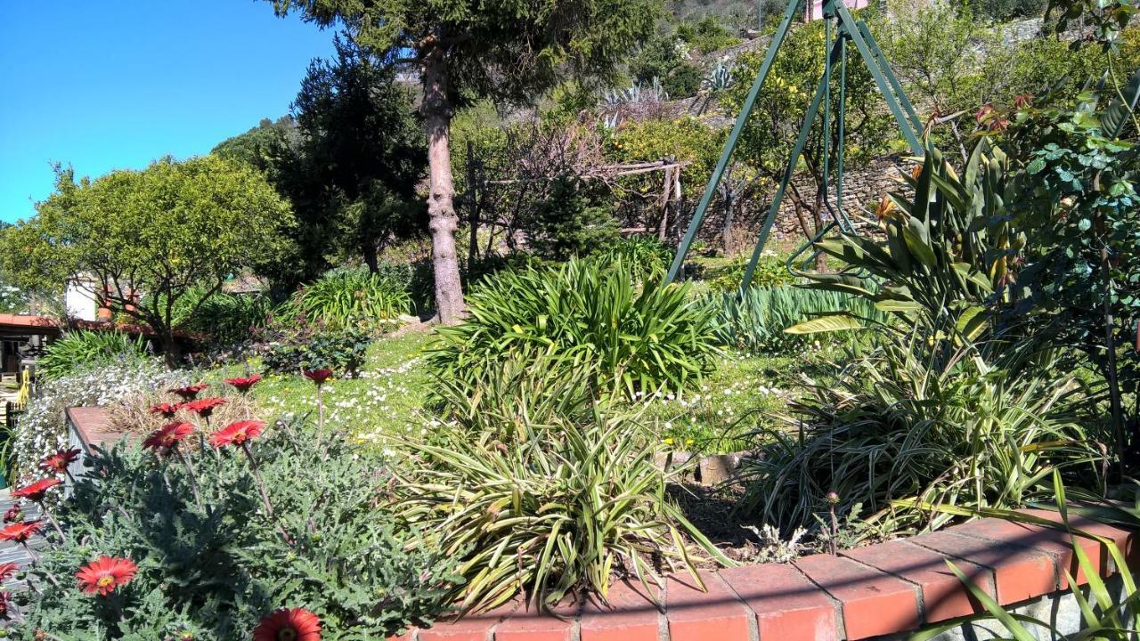 La Depandance Della Nonna Lejlighed Camogli Eksteriør billede